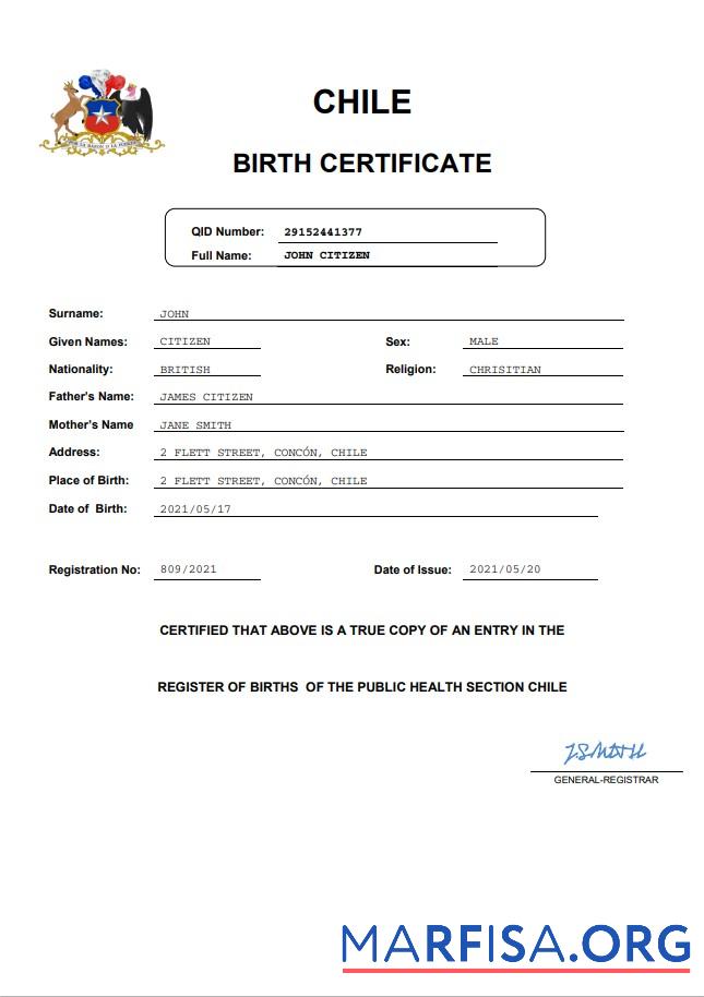 Printable Chile vital record birth certificate Word and PDF template